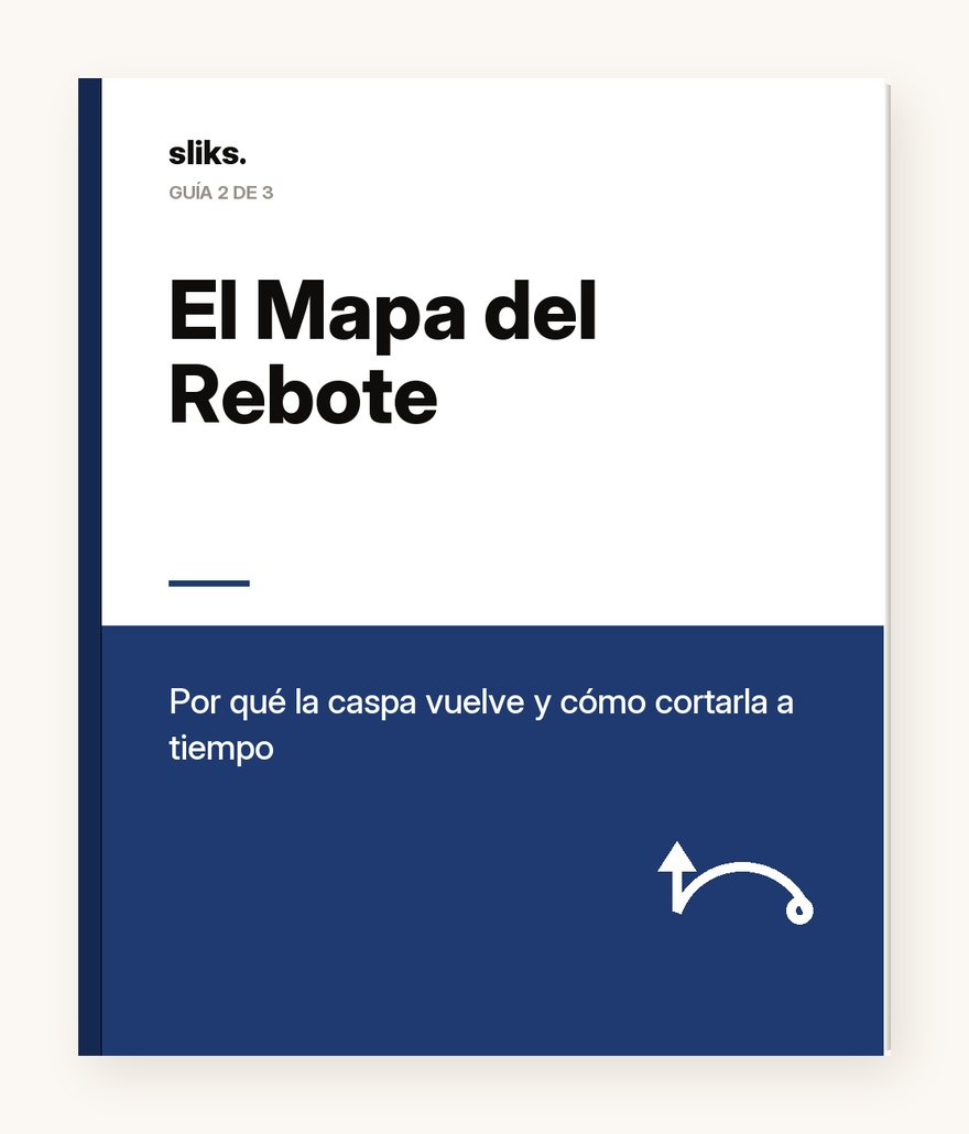 El Mapa del Rebote, incluido con tu pedido